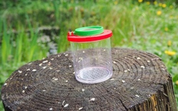 Biologische Wasseruntersuchungen in der Laugna