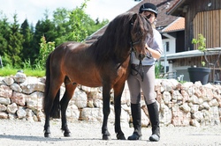 Ponycamp I