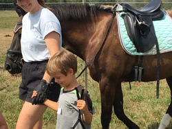 Pferde hautnah erleben in der Reitschule Anita Schwarz