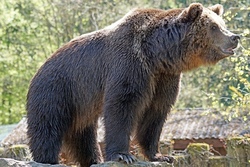 Besuch beim Tierpark Olderdissen