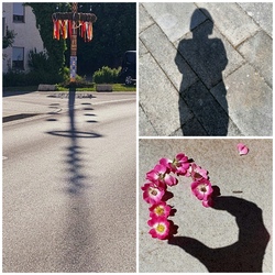 Preisverleihung Fotowettbewerb