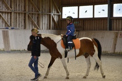 Reiter und Pferd 4