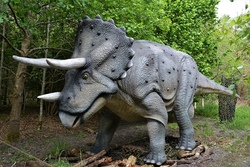 Dinoforscher sein