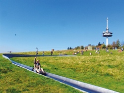Sommerferienprogramm Jugend 11-17 Jahre Hoherodskopf(Rodelbahn,Kletterwald,Baumkronenpfad) - ABGESAGT