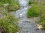 Wasserabenteuer mit Keschern
