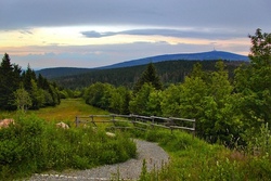Ein Tag im Harz