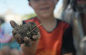 Abgesagt: Permakulturgarten Pur Vita "für Kleine"