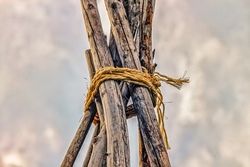 Natur pur