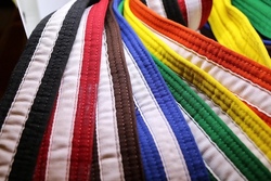 Twin Taekwondo Kampfsport/Selbstverteidigung