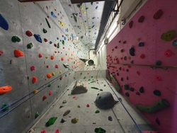 Hoch hinaus! Wir gehen klettern!