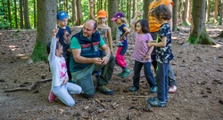 Auf den Spuren der Waldtiere!
