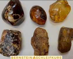 Bernstein-Schleifkurs