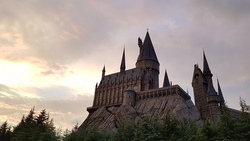 Harry-Potter-Nacht 