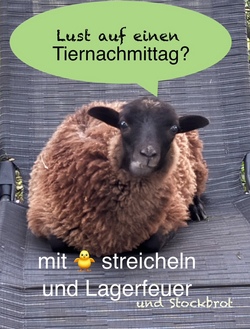 Tiernachmittag mit Lagerfeuer