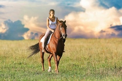  S3 - Pferd und Natur 