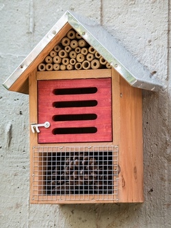 Wir basteln ein Insektenhotel