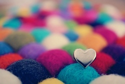 Wir filzen bunte Tiere