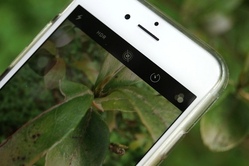 Smartphone-Fotokurs