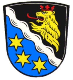 Kindergemeinderatssitzung in Baar