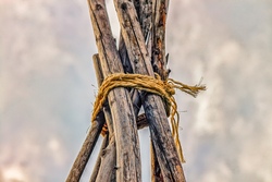 Ihr seid das Salz der Erde