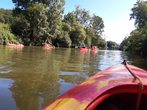 Kanuaktion auf dem Neckar
