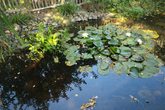 Unsere Herbstferien auf dem Abenteuerspielplatz Buntspecht