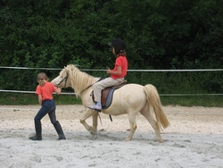  Ein Tag mit den Ponys, Schafen, Ziegen und Schweinen!