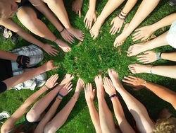 Gemeinsam stark - Team-Abenteuer im Wald