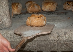 "Vom Mehl zum Brot" im Backhaus Buchheim