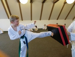 Twin Taekwondo - Weck den Tiger in dir! - 2