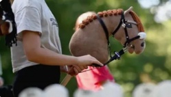 Hobby Horsing - Steckenpferd-Reiten