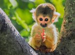 Zoo Salzburg - Abendführung