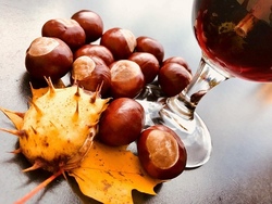 Kunterbunter Herbstnachmittag
