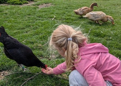 Zusatztermin Besuch auf dem Erlebnisbauernhof-1