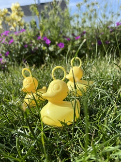 Piratentag in Begleitung einer erwachsenen Aufsichtsperson 