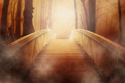 Schatzsuche im Wald