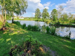 Mensch und Natur / Fische als Lebewesen und Nahrungsmittel