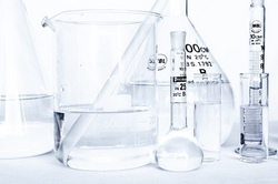 Experimente Querbeet