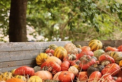 Herbstküche