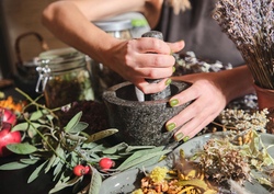 Zauberk&uuml;che im Rosenmuseum