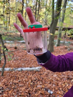Ferienaktion: "Entdecke den Wald der Zukunft"