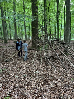 Den ganzen Tag unterwegs - Waldtag - erleben, bauen, experimentieren