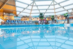 Tagesausflug Palm Beach in Stein