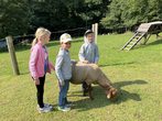  Erlebnistag auf dem Hof Heinbach - Herbstferien