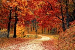 2. Herbstferienwoche OGS