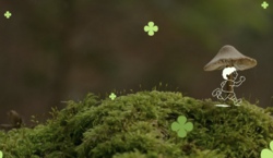 Wanderung durch den abendlichen und nächtlichen Stroot-Wald