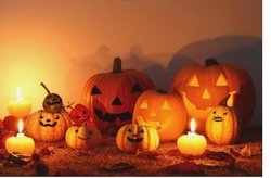 Kürbiszauber im Halloween-Fieber