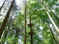 Kletterwald Taunus