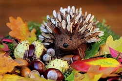 Mittwoch, 29.10.2025 - Herbstliches Basteln