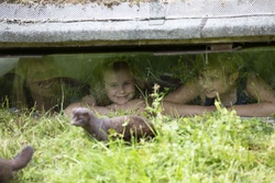 Ein Besuch im Otterzentrum